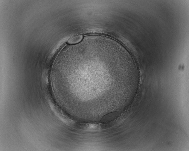 X0000115320060200911161755