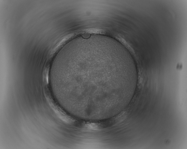 X0000115320062200911161755