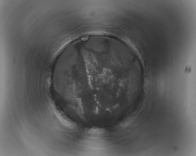 X0000115320063200911161755