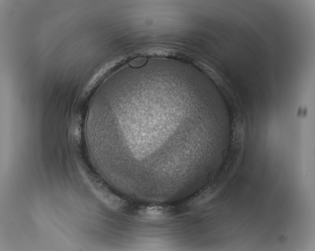 X0000115320064200911161755