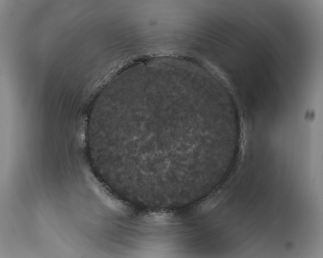 X0000115320065200911161755