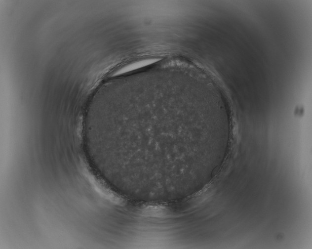 X0000115320066200911161755