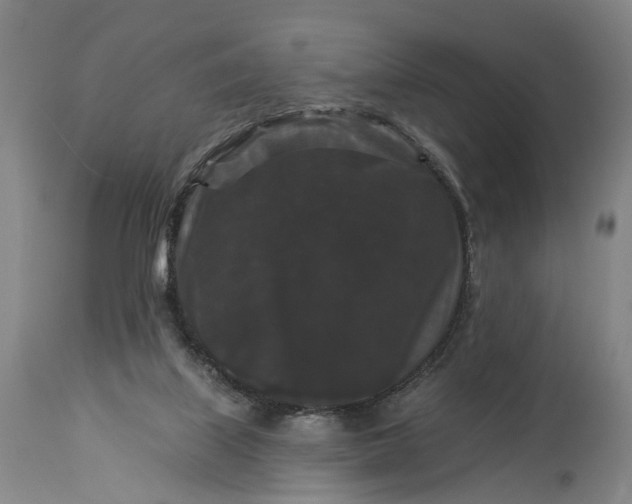 X0000115320067200911161755