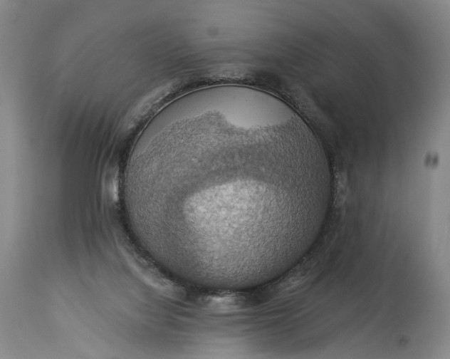 X0000115320068200911161755