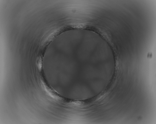 X0000115320069200911161755