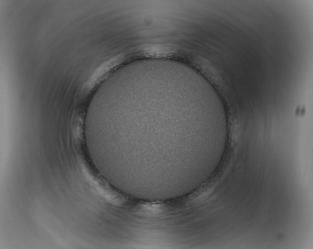 X0000115320071200911161755