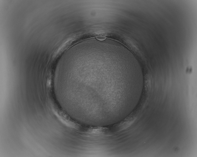 X0000115320072200911161755