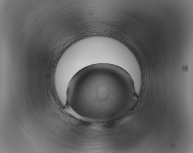 X0000115320076200911161755