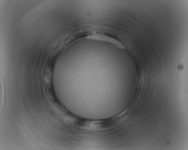 X0000115320078200911161755