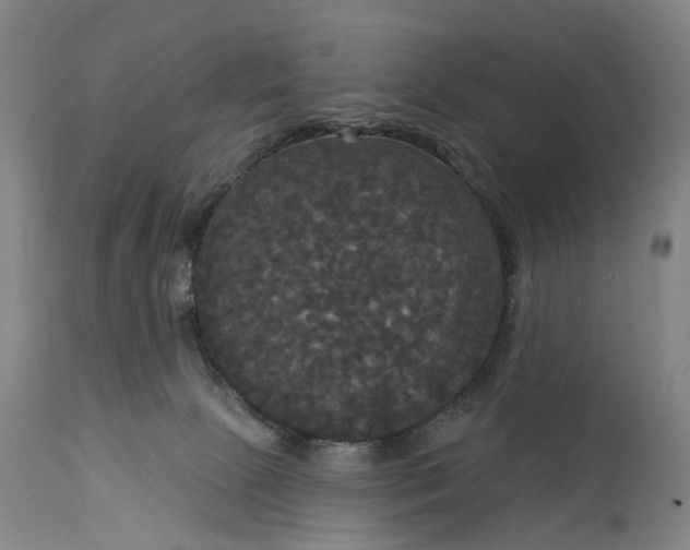 X0000115320081200911161755