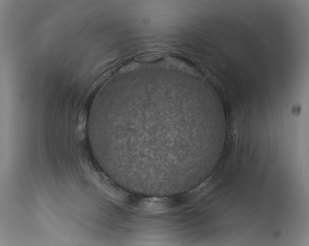 X0000115320082200911161755