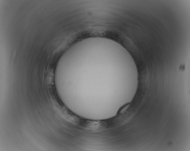 X0000115320083200911161755