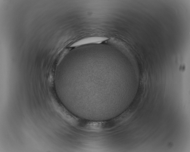 X0000115320084200911161755