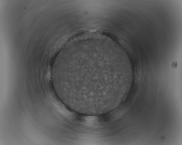 X0000115320085200911161755