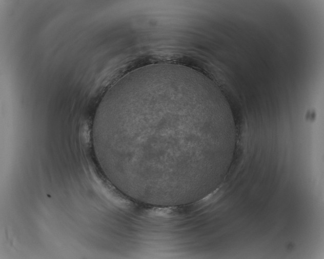 X0000115320086200911161755