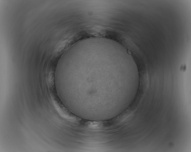 X0000115320088200911161755