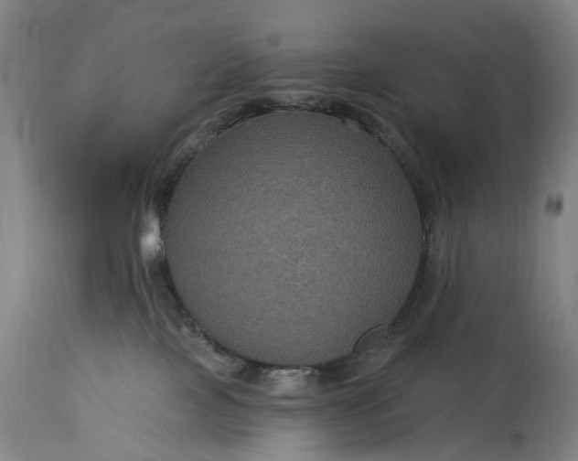 X0000115320089200911161755