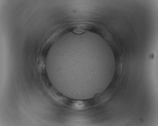 X0000115320091200911161756