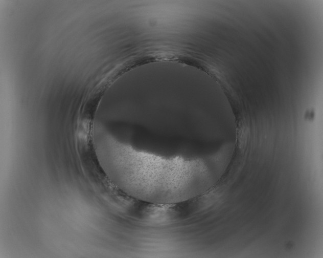 X0000115320093200911161756