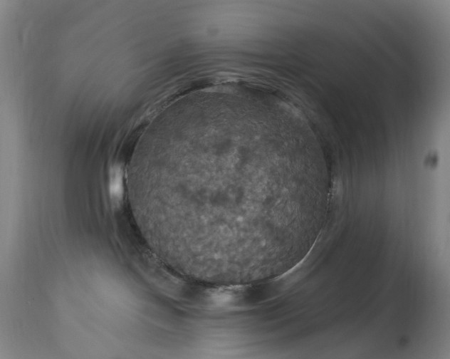 X0000115320094200911161756