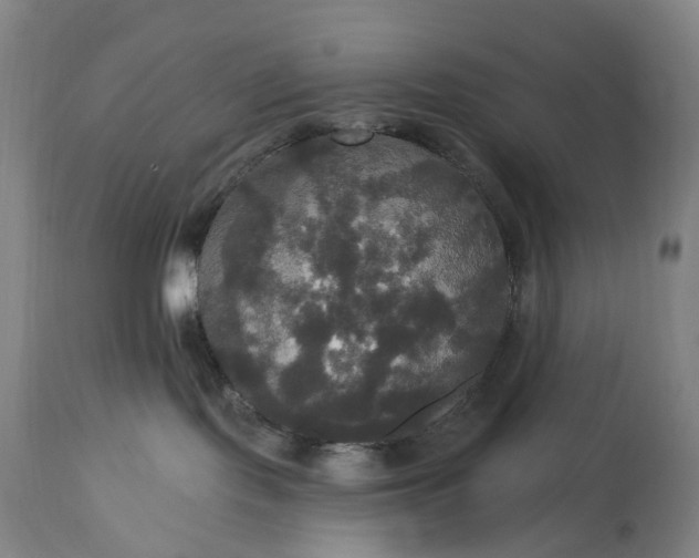 X0000115320095200911161756