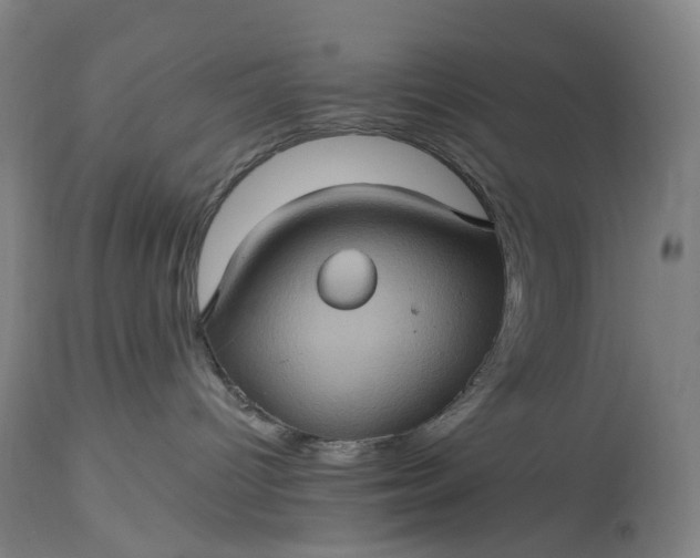 X0000115320096200911161756