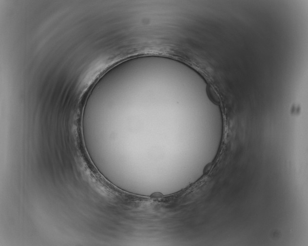 X0000115320098200911161755