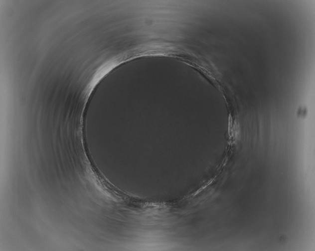 X0000115320099200911161755