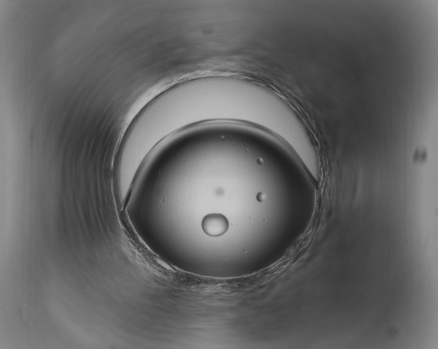 X0000115320100200911161755