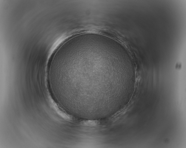 X0000115320102200911161755