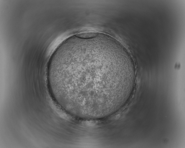 X0000115320103200911161755