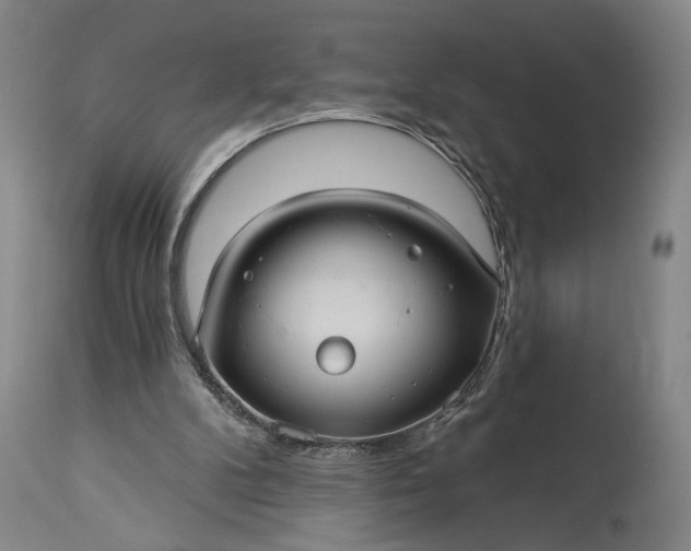 X0000115320104200911161755