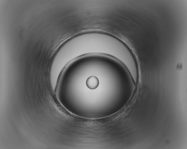 X0000115320105200911161755