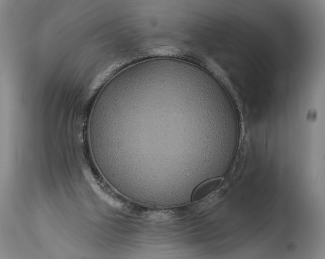 X0000115320106200911161755