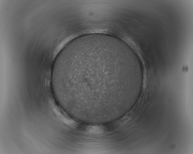 X0000115320107200911161755