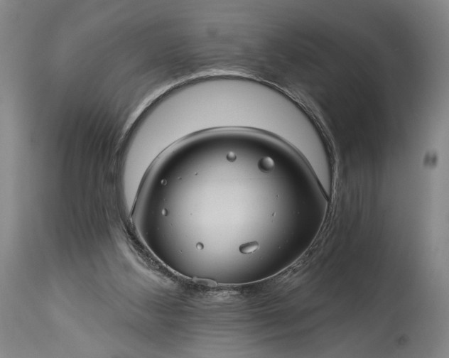 X0000115320108200911161755