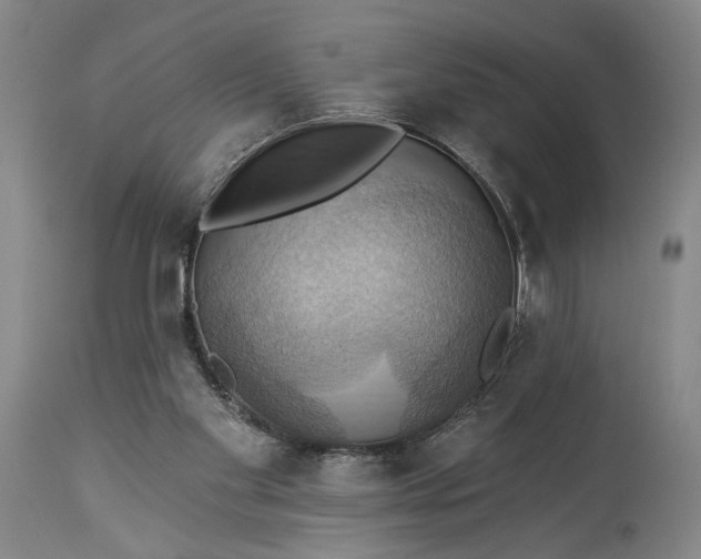 X0000115320109200911161755