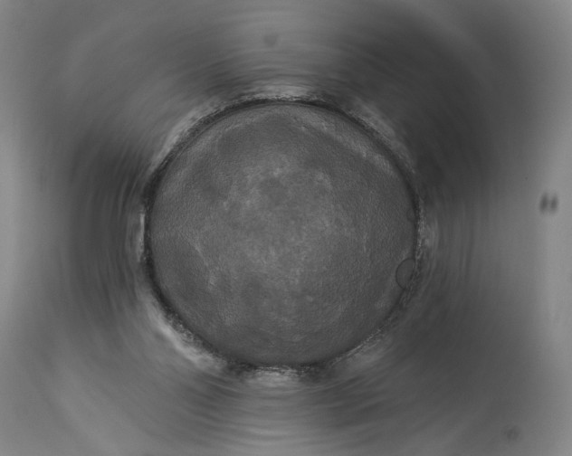 X0000115320110200911161755