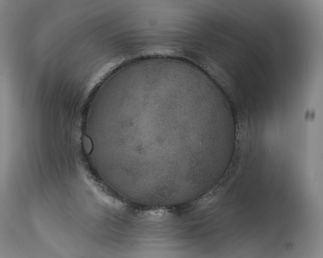 X0000115320112200911161754