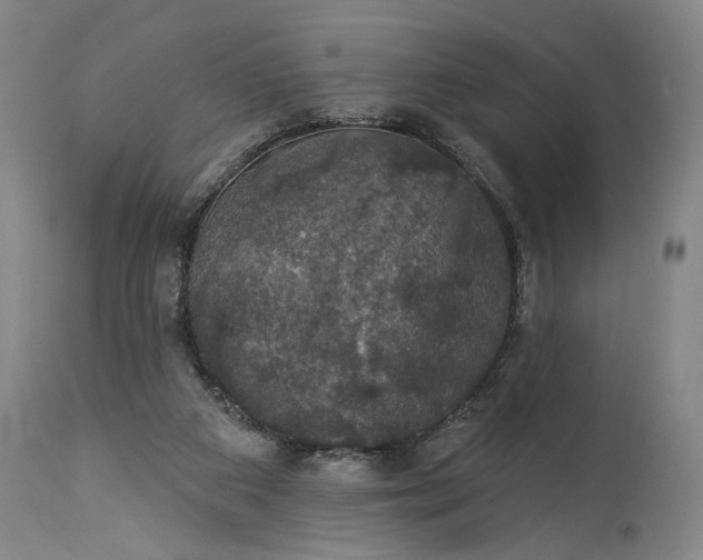 X0000115320113200911161754