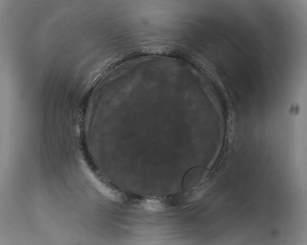 X0000115320114200911161754