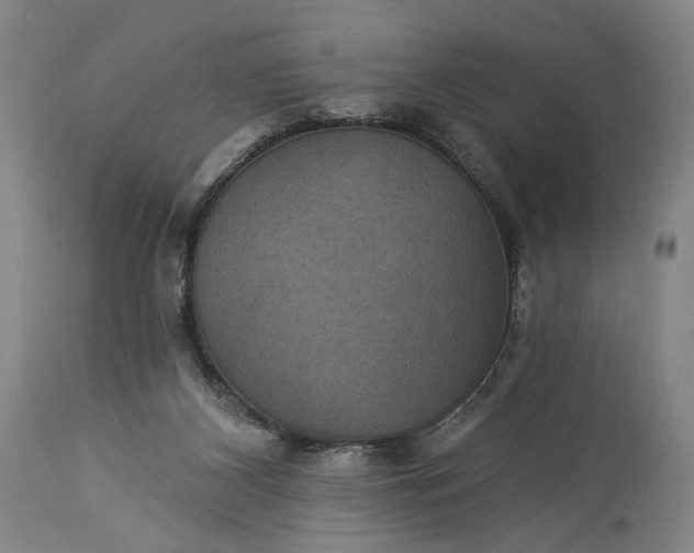 X0000115320116200911161754