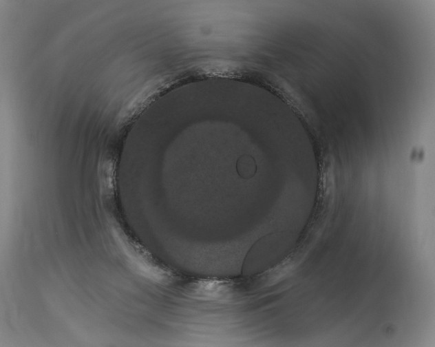 X0000115320117200911161754