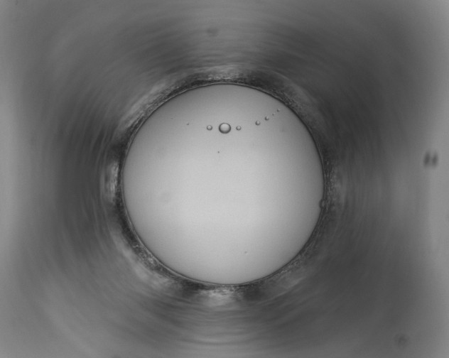 X0000115320118200911161754