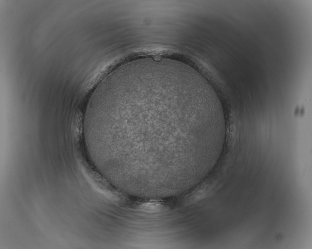 X0000115320119200911161754