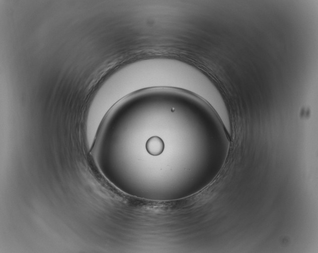 X0000115320120200911161754