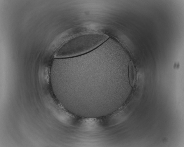 X0000115320121200911161754