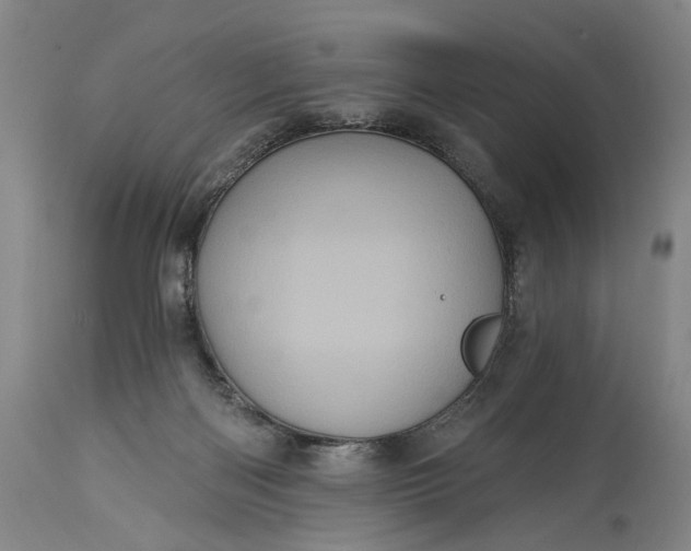 X0000115320122200911161754