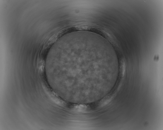 X0000115320125200911161754