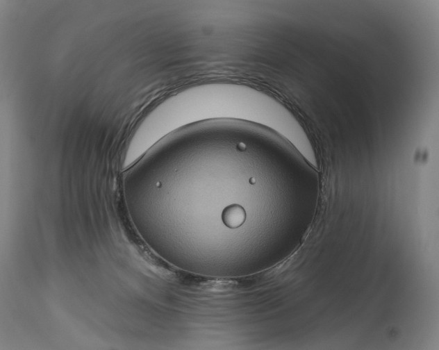 X0000115320128200911161754